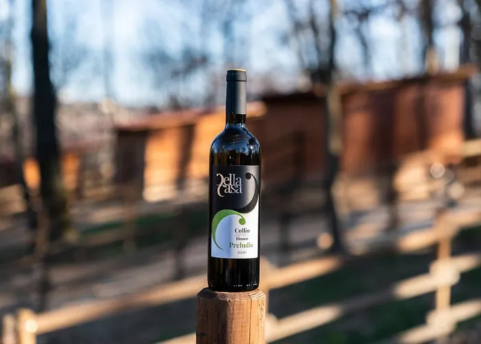 La Pausa del Collio