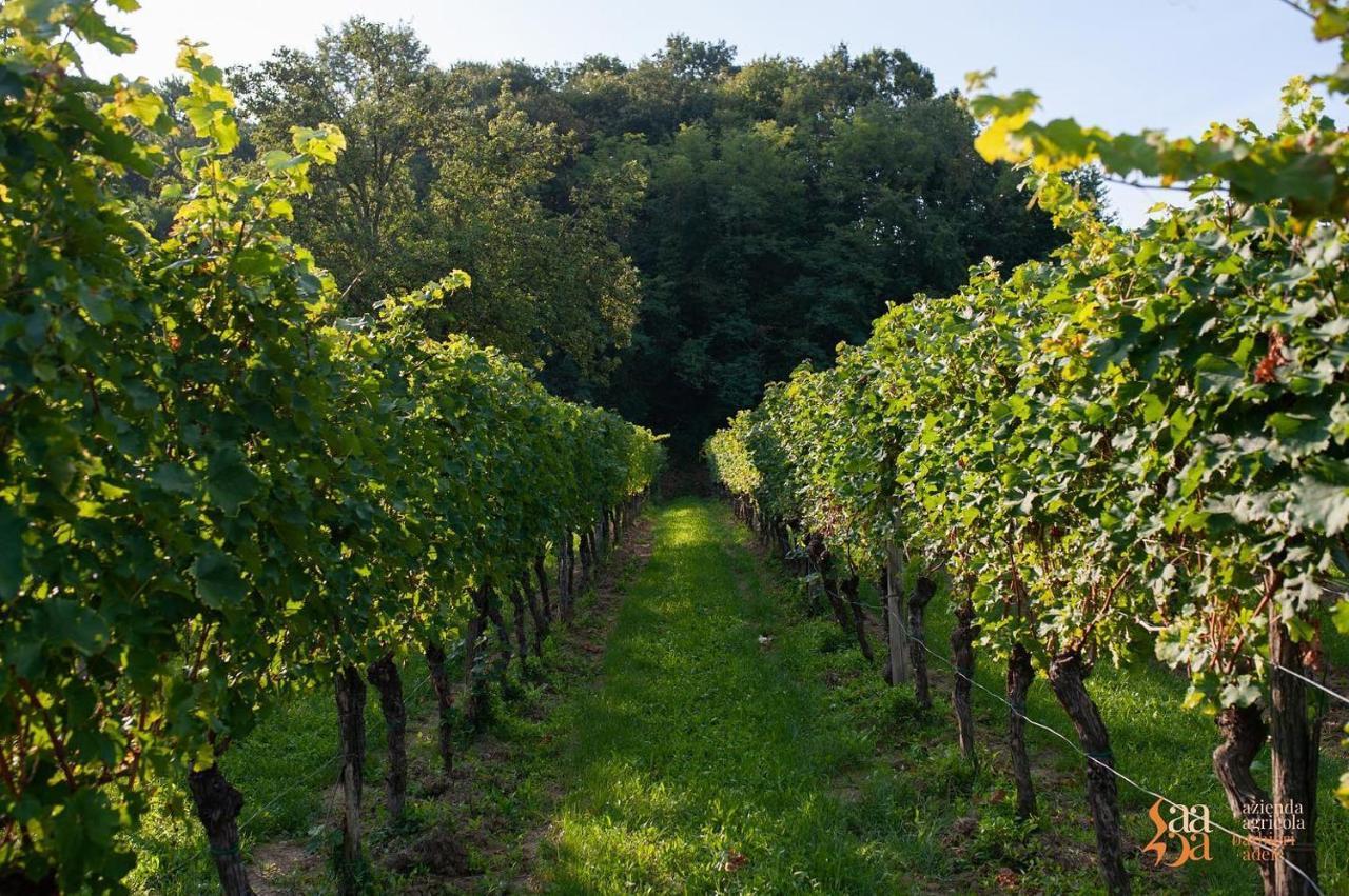 Tenuta Della Casa Wine & - La Pausa Del Collio *