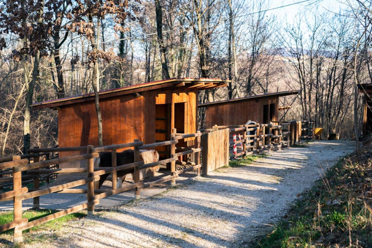 La Pausa Del Collio * Cormòns