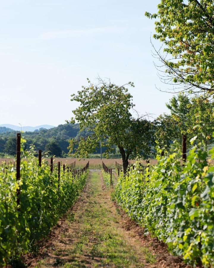 Alloggio per agriturismo La Pausa Del Collio